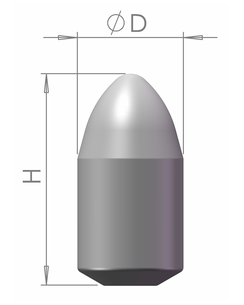 彈頭齒 （B）